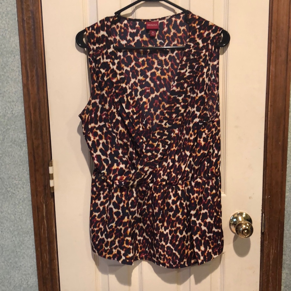 Deep v cheetah blouse